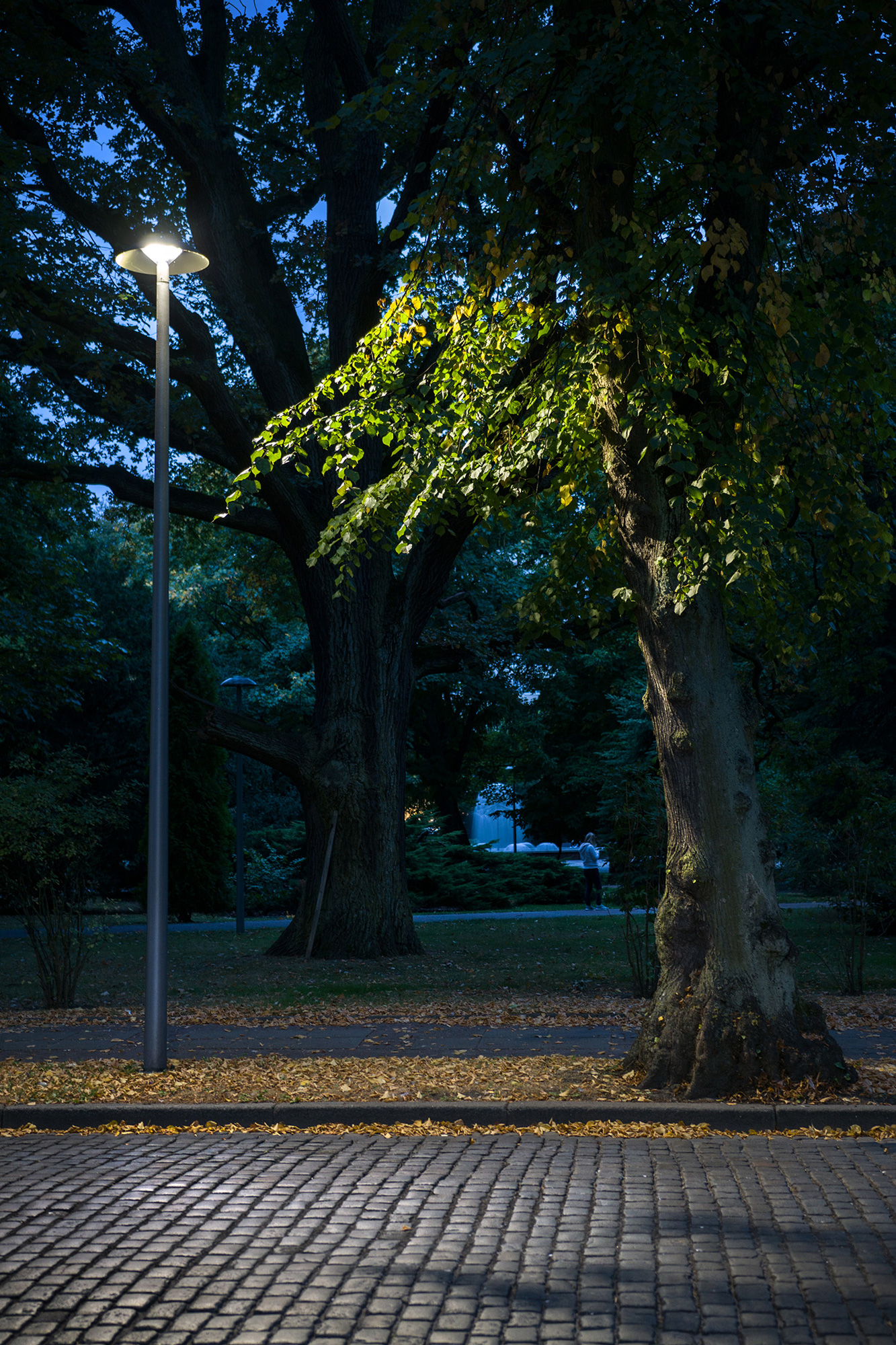 Twilight Bilbao and Odense receive DarkSky certification