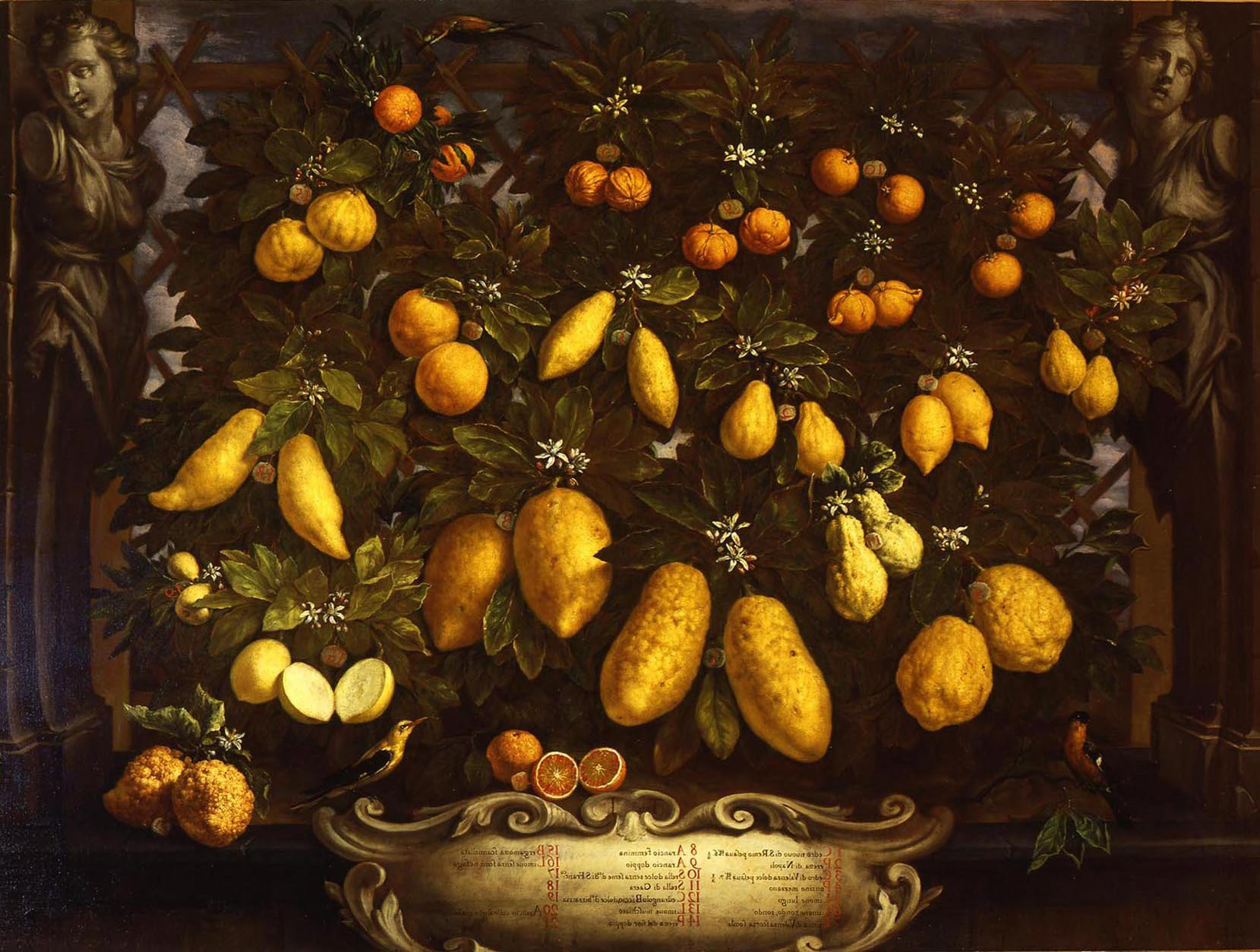 Light in the art and science of still life