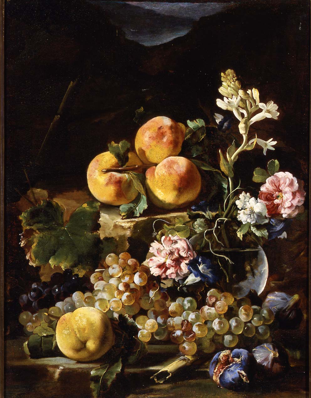 Light in the art and science of still life